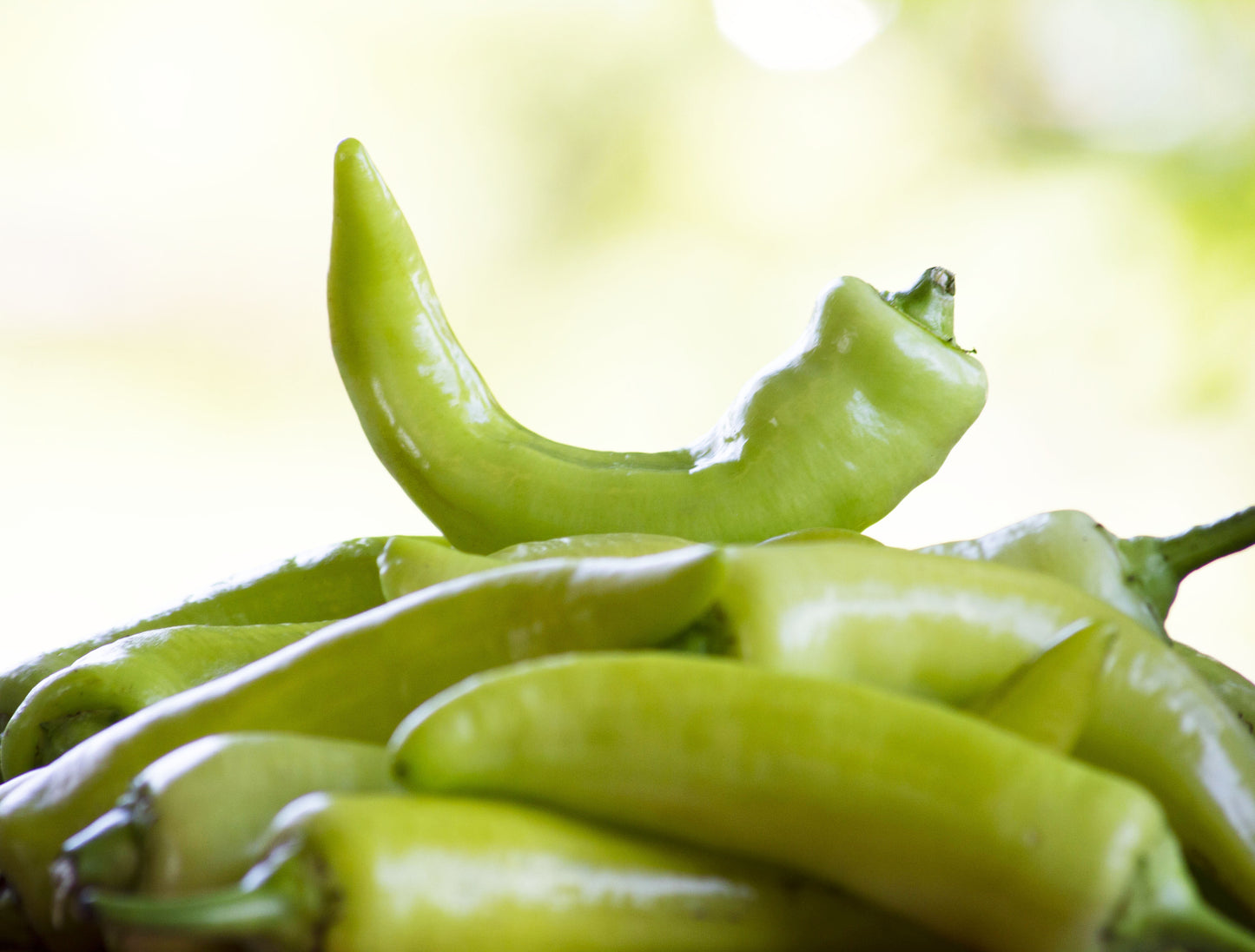 Piment Banane (doux) bio