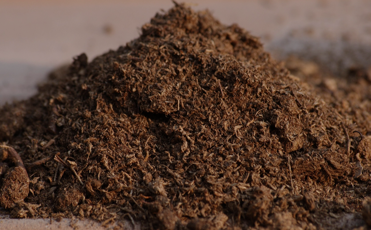 Peatmoss pour plants de bleuet - Jardin