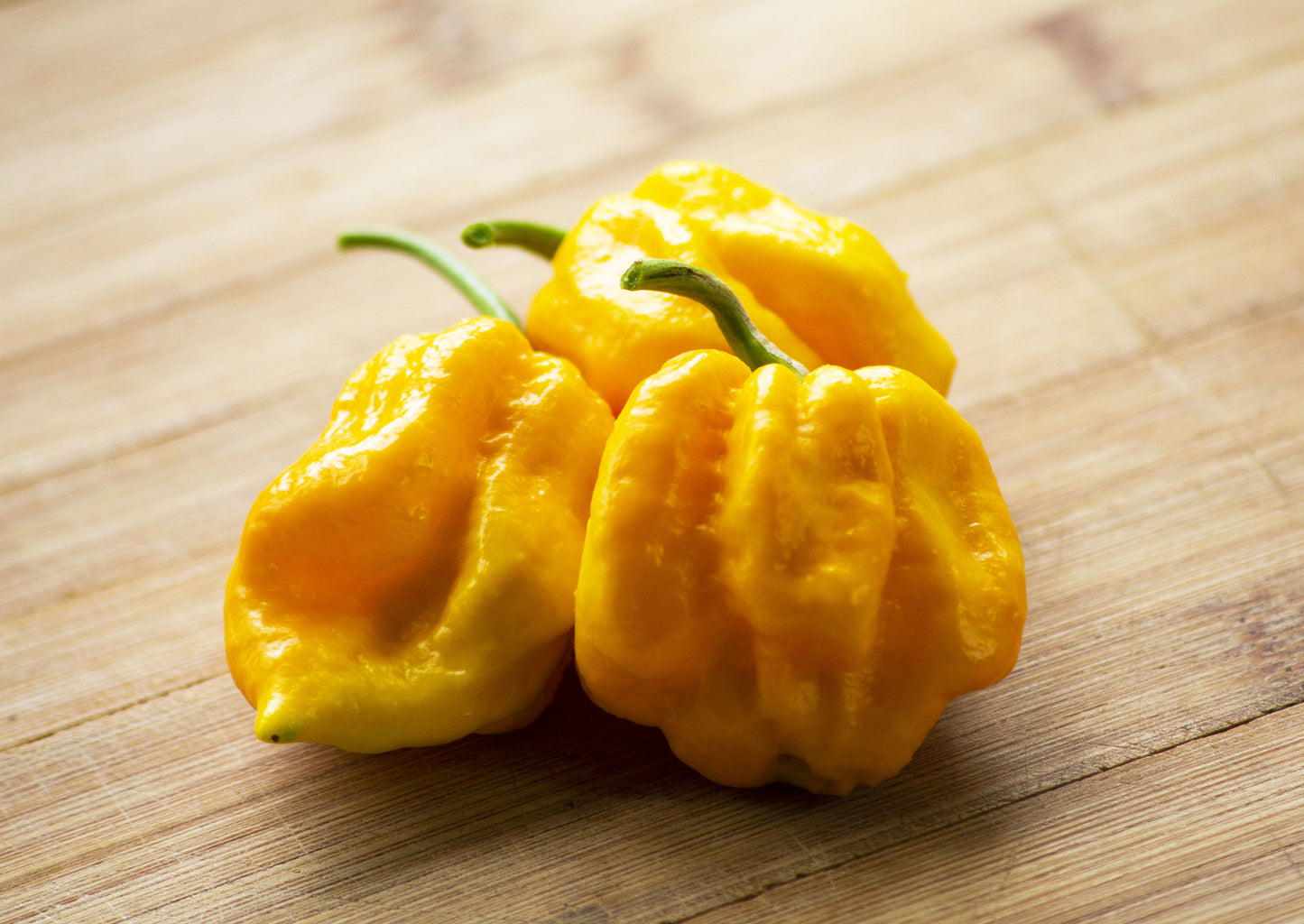 Piment Carolina Raper bio