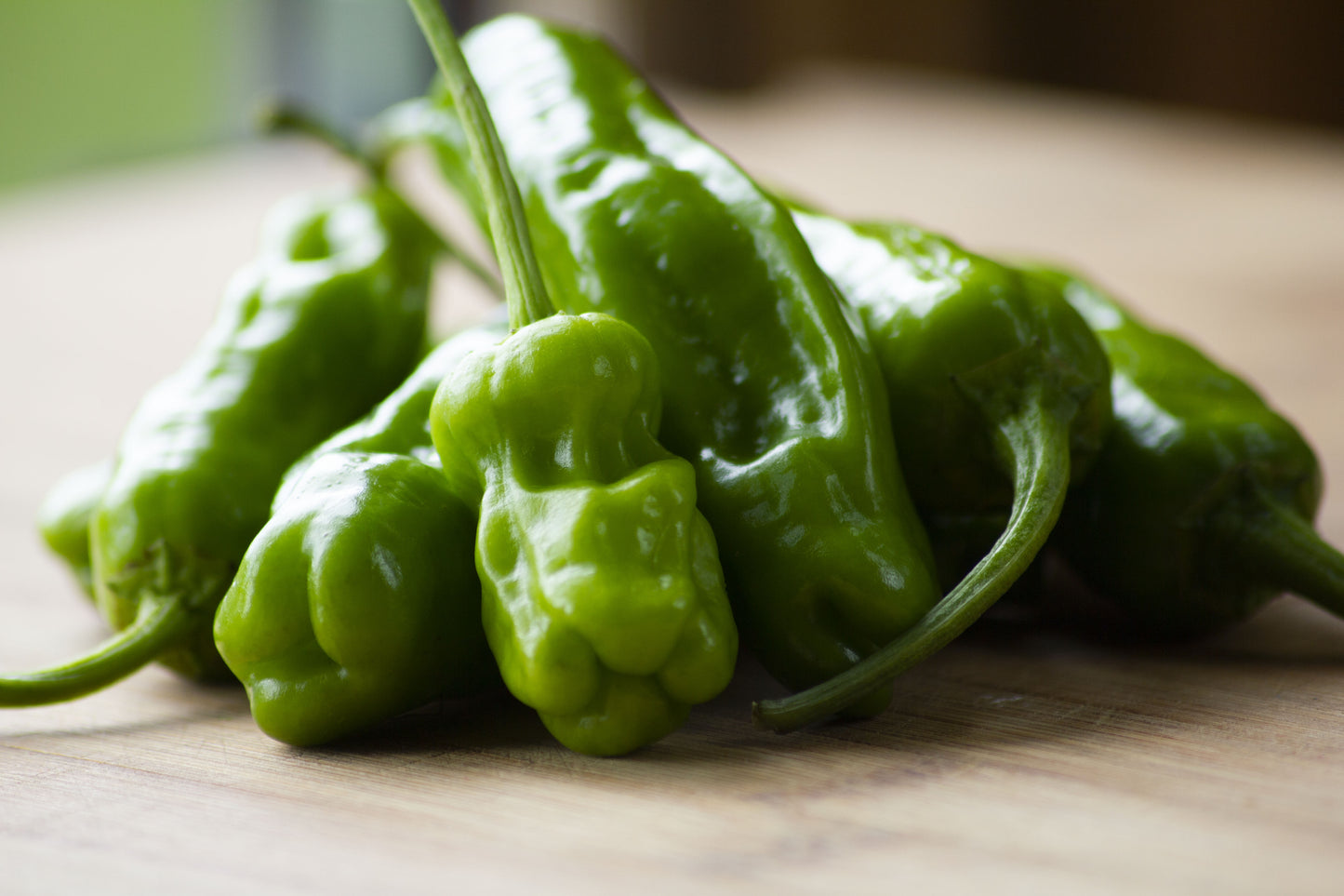 Organic Shishito pepper