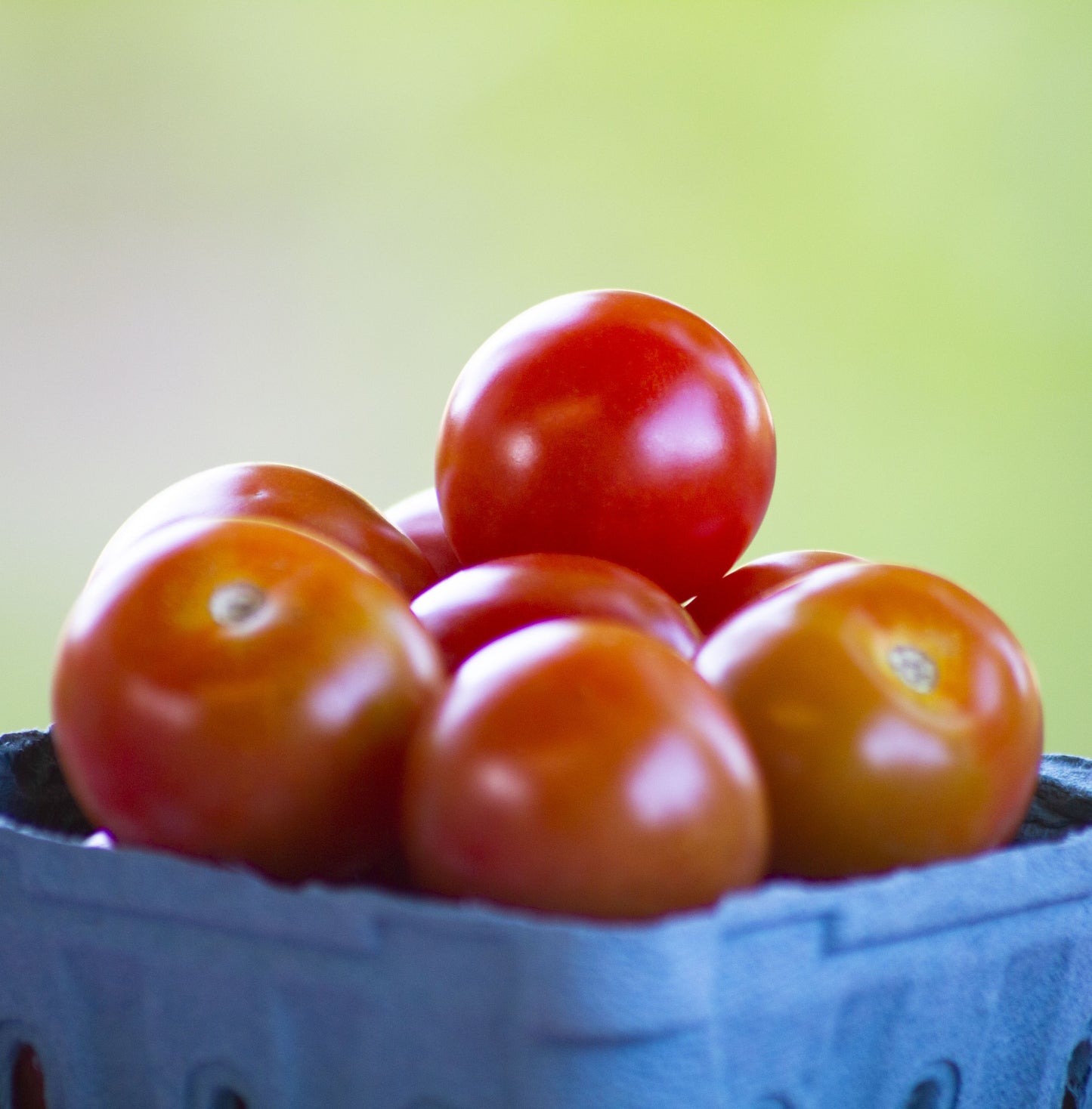 Organic Cherry Tomatoes