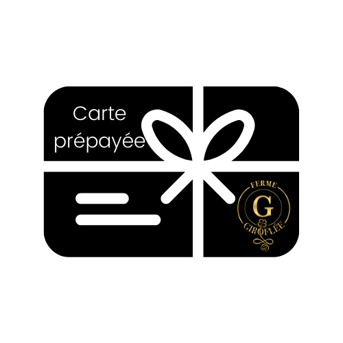Carte prépayée