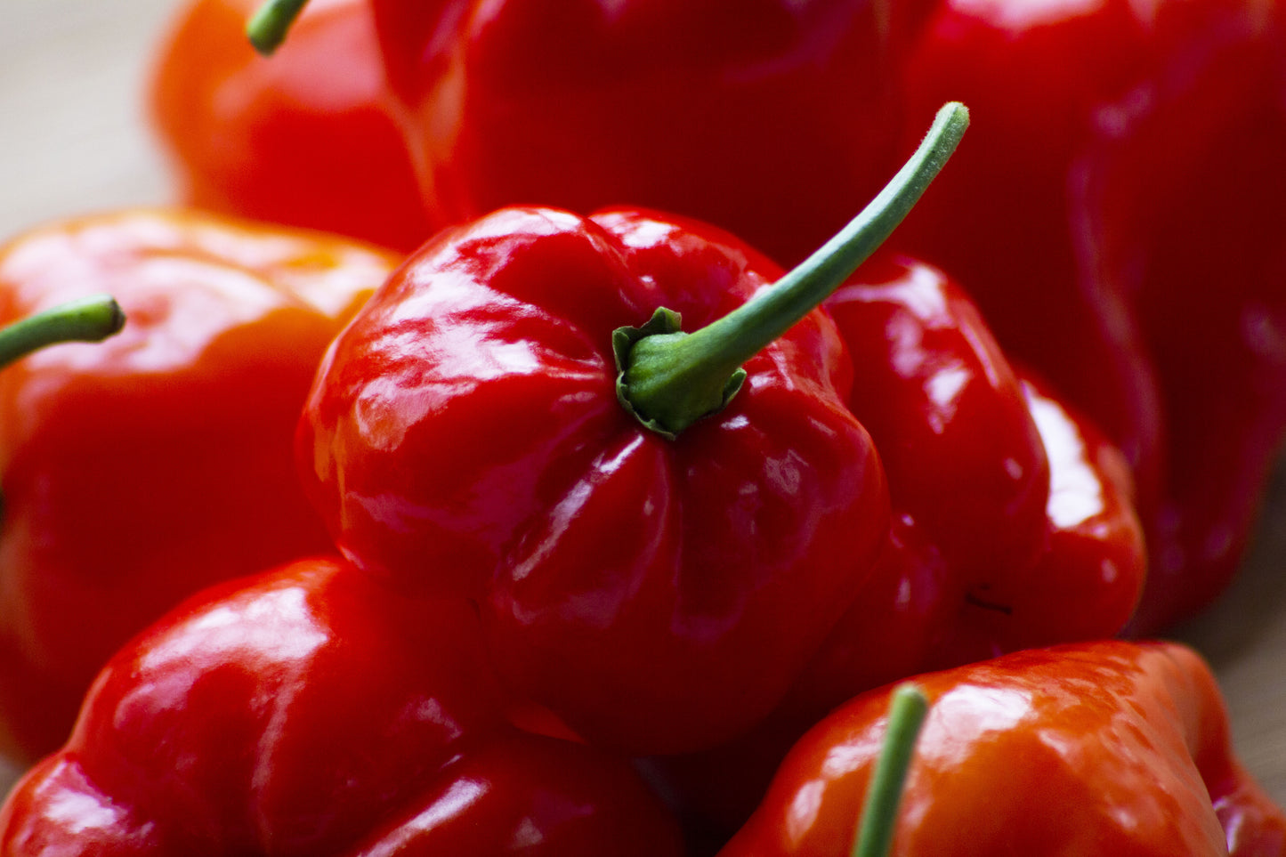 Organic habanero pepper
