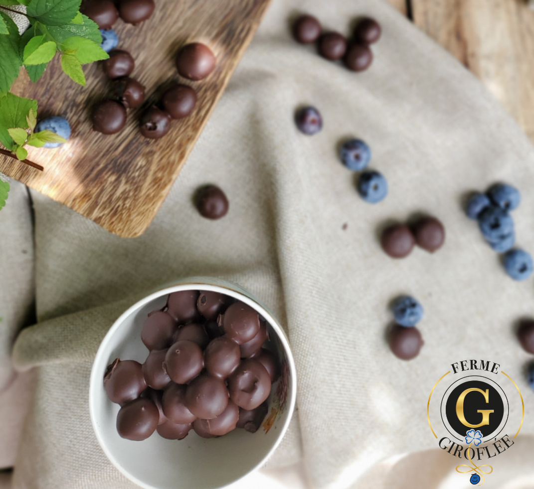 Blueberries covered in Dark Chocolate