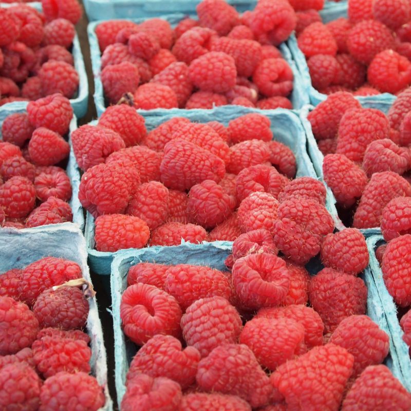 Organic Raspberry